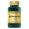 astragalus 60 capsule